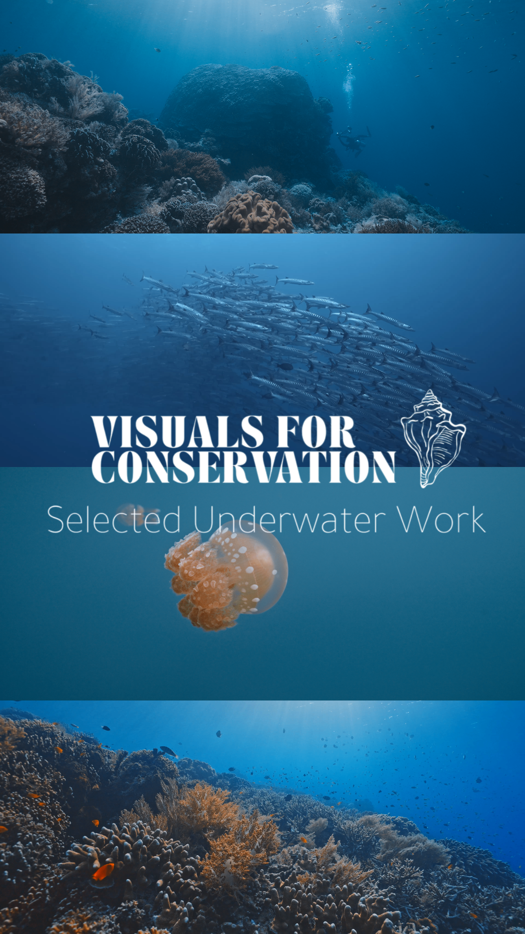 Selected Underwater Work