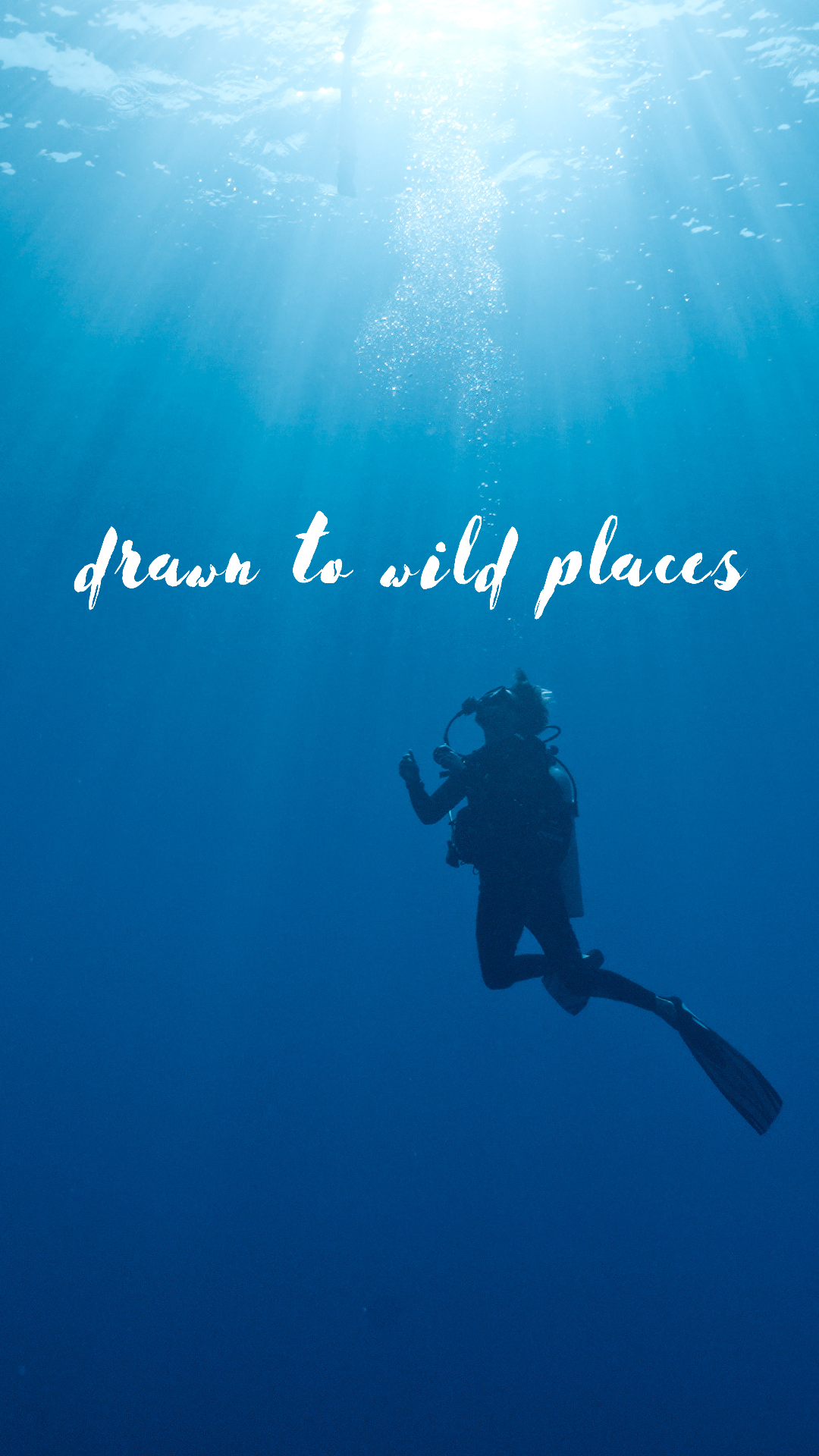 Drawn to Wild Places