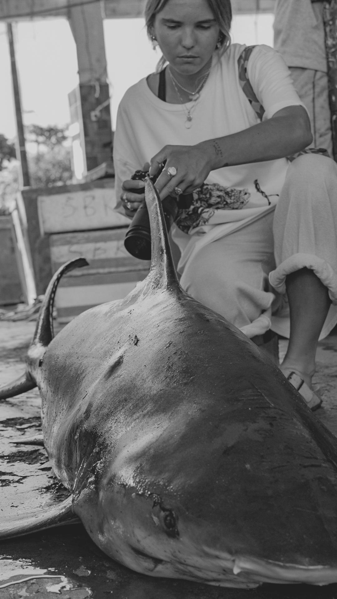 Inside Sri Lanka's shark fisheries